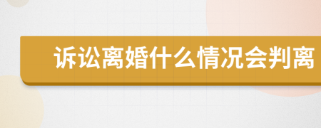 诉讼离婚什么情况会判离