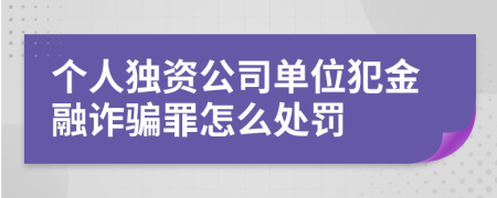 个人独资公司单位犯金融诈骗罪怎么处罚