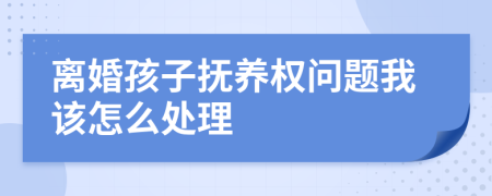 离婚孩子抚养权问题我该怎么处理