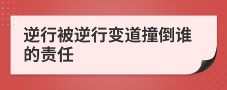 逆行被逆行变道撞倒谁的责任