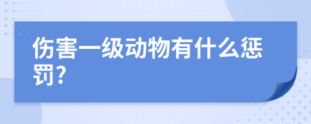 伤害一级动物有什么惩罚?