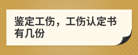 鉴定工伤，工伤认定书有几份