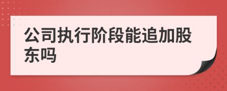 公司执行阶段能追加股东吗