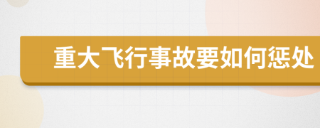 重大飞行事故要如何惩处