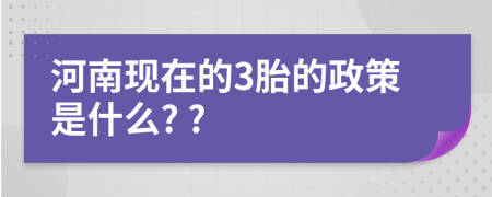 河南现在的3胎的政策是什么? ?