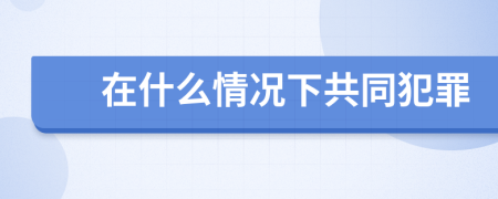 在什么情况下共同犯罪