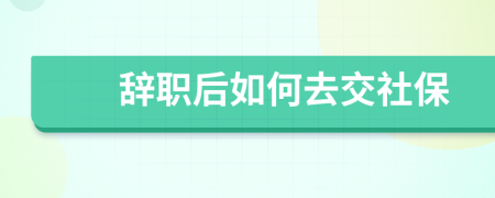 辞职后如何去交社保