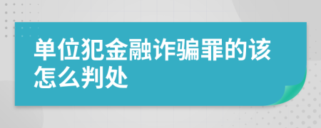 单位犯金融诈骗罪的该怎么判处