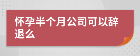 怀孕半个月公司可以辞退么