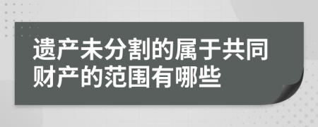 遗产未分割的属于共同财产的范围有哪些