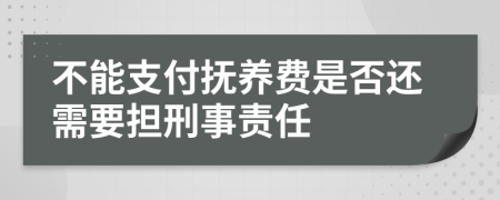 不能支付抚养费是否还需要担刑事责任