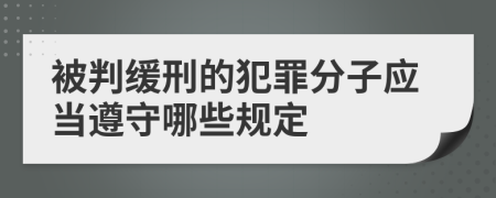 被判缓刑的犯罪分子应当遵守哪些规定