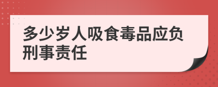 多少岁人吸食毒品应负刑事责任