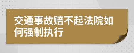 交通事故赔不起法院如何强制执行