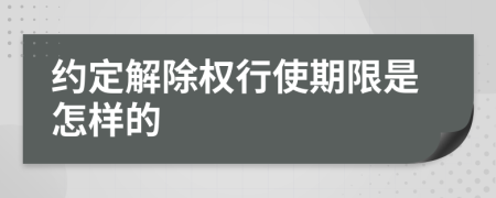 约定解除权行使期限是怎样的