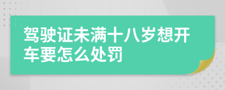 驾驶证未满十八岁想开车要怎么处罚