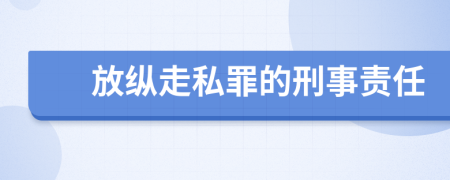放纵走私罪的刑事责任