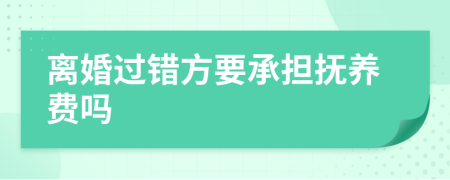 离婚过错方要承担抚养费吗