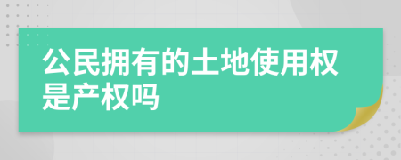 公民拥有的土地使用权是产权吗