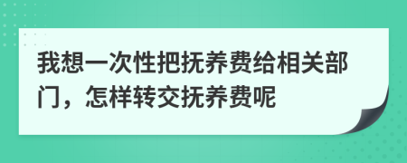 我想一次性把抚养费给相关部门，怎样转交抚养费呢