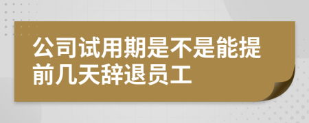 公司试用期是不是能提前几天辞退员工