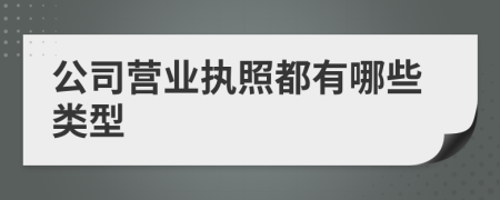 公司营业执照都有哪些类型