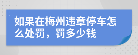 如果在梅州违章停车怎么处罚，罚多少钱