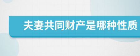 夫妻共同财产是哪种性质