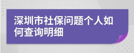 深圳市社保问题个人如何查询明细