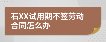 石XX试用期不签劳动合同怎么办