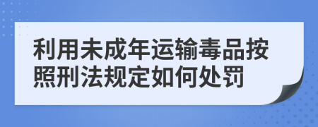 利用未成年运输毒品按照刑法规定如何处罚