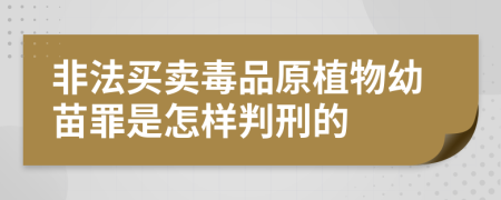 非法买卖毒品原植物幼苗罪是怎样判刑的