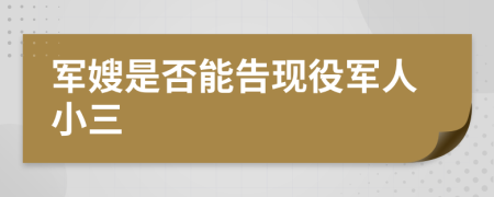 军嫂是否能告现役军人小三