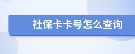 社保卡卡号怎么查询