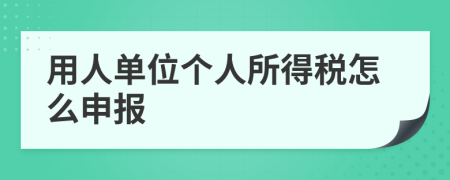 用人单位个人所得税怎么申报