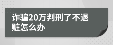 诈骗20万判刑了不退赃怎么办