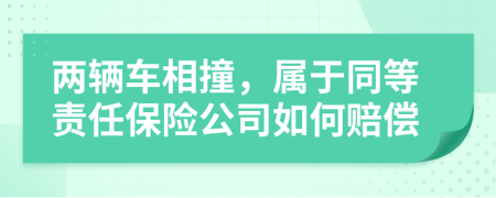 两辆车相撞，属于同等责任保险公司如何赔偿