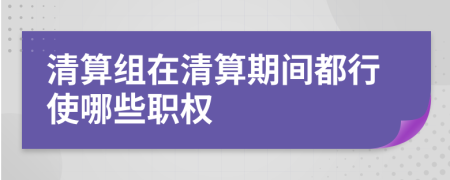 清算组在清算期间都行使哪些职权