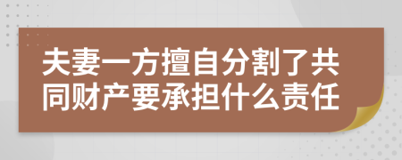 夫妻一方擅自分割了共同财产要承担什么责任