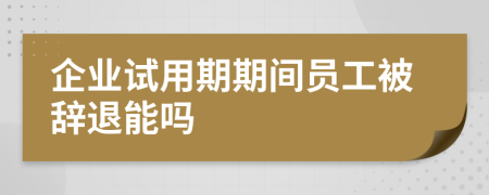 企业试用期期间员工被辞退能吗