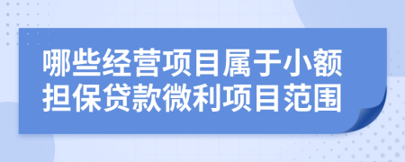 哪些经营项目属于小额担保贷款微利项目范围