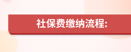 社保费缴纳流程: