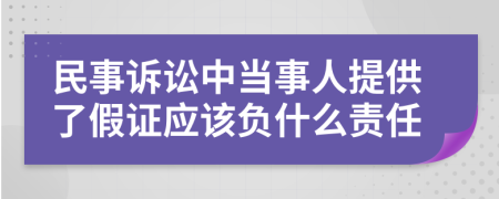 民事诉讼中当事人提供了假证应该负什么责任