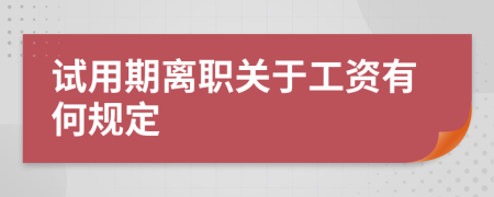 试用期离职关于工资有何规定