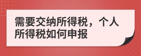 需要交纳所得税，个人所得税如何申报