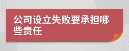 公司设立失败要承担哪些责任