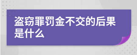 盗窃罪罚金不交的后果是什么