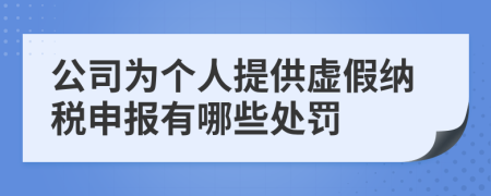 公司为个人提供虚假纳税申报有哪些处罚