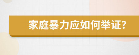 家庭暴力应如何举证？