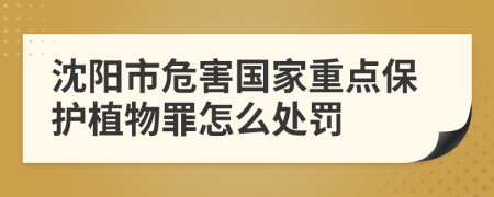 沈阳市危害国家重点保护植物罪怎么处罚